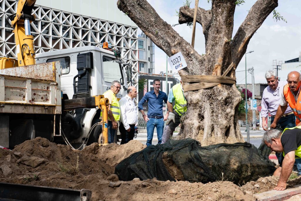 Αιωνόβιες ελιές στην Ιερά οδό για την Παγκόσμια Ημέρα Περιβάλλοντος από τον Δήμο Αθηναίων