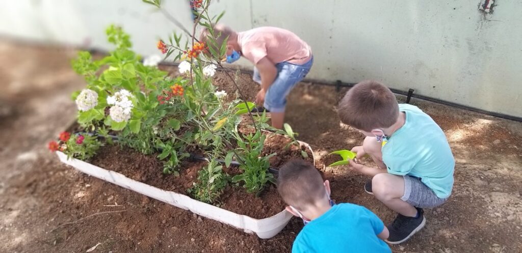 Παγκόσμια Ημέρα Περιβάλλοντος Συμβολική Δενδροφύτευση στο 6ο Δημοτικό Σχολείο  και Νηπιαγωγείο του Δήμου Ασπροπύργου