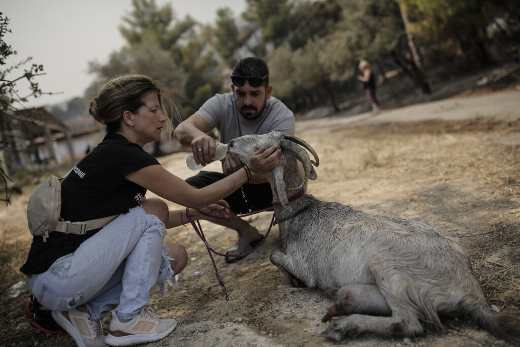 Μάχη με την πύρινη λαίλαπα στην Πάρνηθα – Εκκενώθηκαν οικισμοί στους πρόποδες