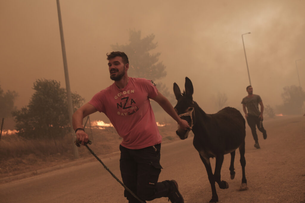 Φωτιά στη Φυλή – Σε εξέλιξη η πυρκαγιά στον Ασπρόπυργο – Εκκένωση των περιοχών Άνω Λιόσια, Γεννηματά, Κανάλα – Διακοπή κυκλοφορίας σε τμήμα της Αττικής Οδού