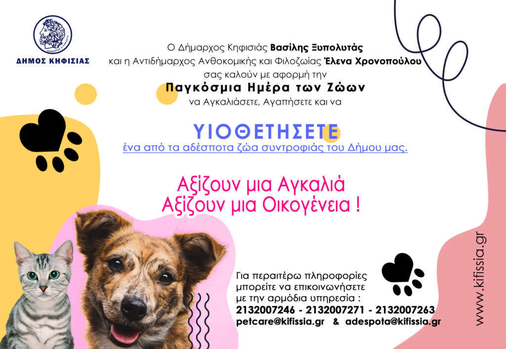 Δήμος Κηφισιάς: Παγκόσμια Ημέρα Ζώων – Υιοθετήστε ένα από τα αδέσποτα ζώα συντροφιάς του Δήμου μας
