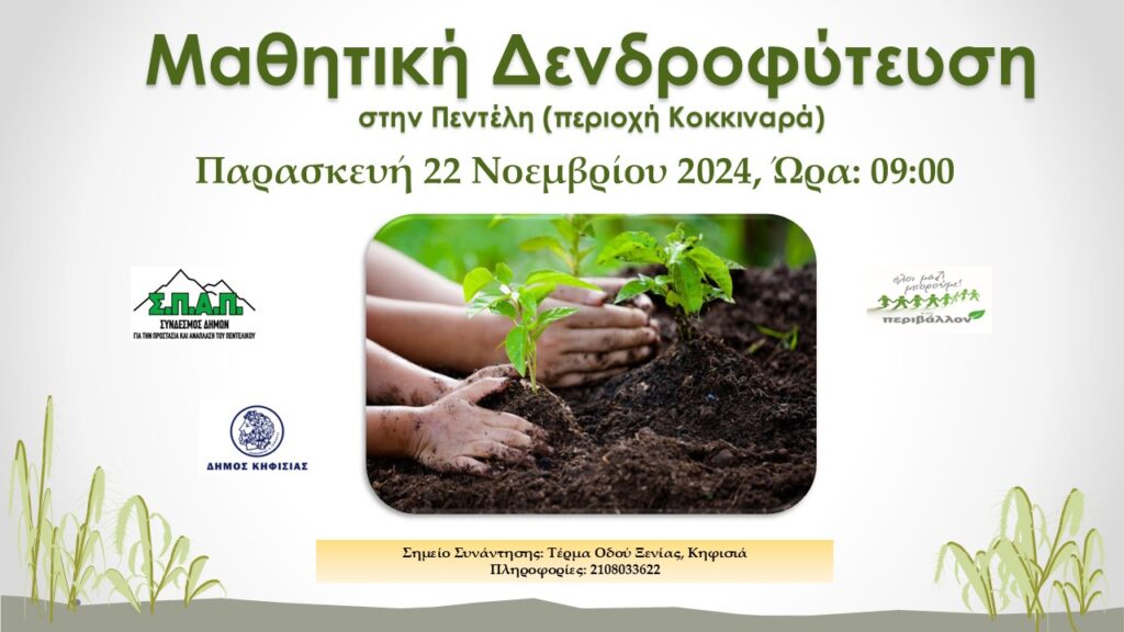 Δήμος Κηφισιάς – Σ.Π.Α.Π: Μαθητική Δενδροφύτευση στην Πεντέλη