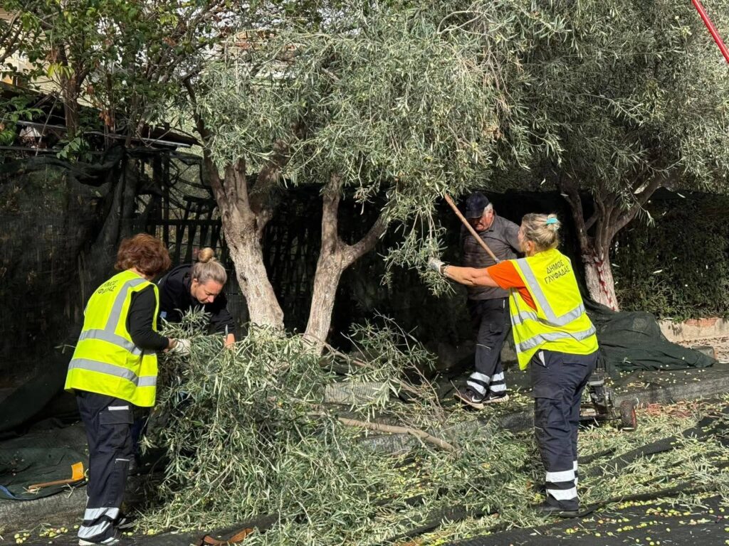 Δήμος Γλυφάδας: Λιομάζωμα για 12η συνεχή χρονιά!
