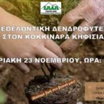Δήμος2 Κηφισιάς: Στις 23/11 η 5η Δράση Εθελοντικής Δενδροφύτευσης στον Κοκκιναρά Κηφισιάς