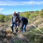 Δήμος Κηφισιάς: Με απόλυτη επιτυχία ολοκληρώθηκε η 5η Εθελοντική Δενδροφύτευση του ΣΠΑΠ στον Κοκκιναρά Κηφισιάς