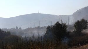 Σε ύφεση η πυρκαγιά σε δασική έκταση στο Ακραίφνιο Βοιωτίας