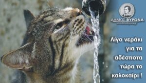 Δήμος Βύρωνα:  Τώρα το καλοκαίρι, λίγο νεράκι για τα ζώα!