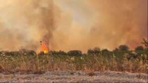 Πυροσβεστική: Μάχη για την αντιμετώπιση 73 πυρκαγιών σε όλη τη χώρα – Οι δυσκολότερες σε Ξηρονομή και Καλαμάκι Βοιωτίας