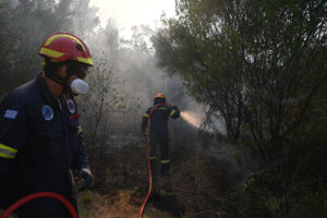 Χαλκιδική: Έπεσε η ένταση της πυρκαγιάς στη Σίβηρη