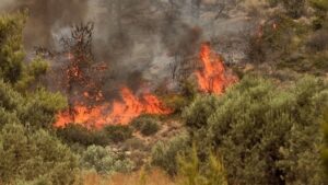 Ενισχύονται οι πυροσβεστικές δυνάμεις στην πυρκαγιά στον Κουβαρά