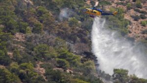 Σε σπινθήρες από καλώδια του ΔΕΔΗΕΕ αποδίδεται η πυρκαγιά στον Κουβαρά
