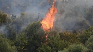 Σε κατάσταση συναγερμού σήμερα η χώρα για εκδήλωση πυρκαγιών