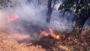 Ενισχύθηκαν οι δυνάμεις στην πυρκαγιά στην Ατσίτσα Σκύρου